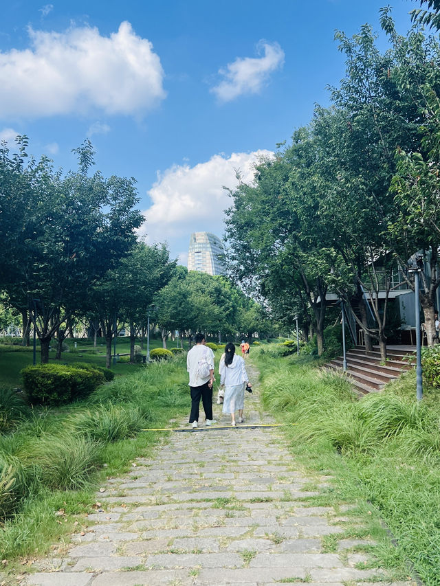 徐滙濱江西岸瘋狂動物城打卡地-寵物友好地標