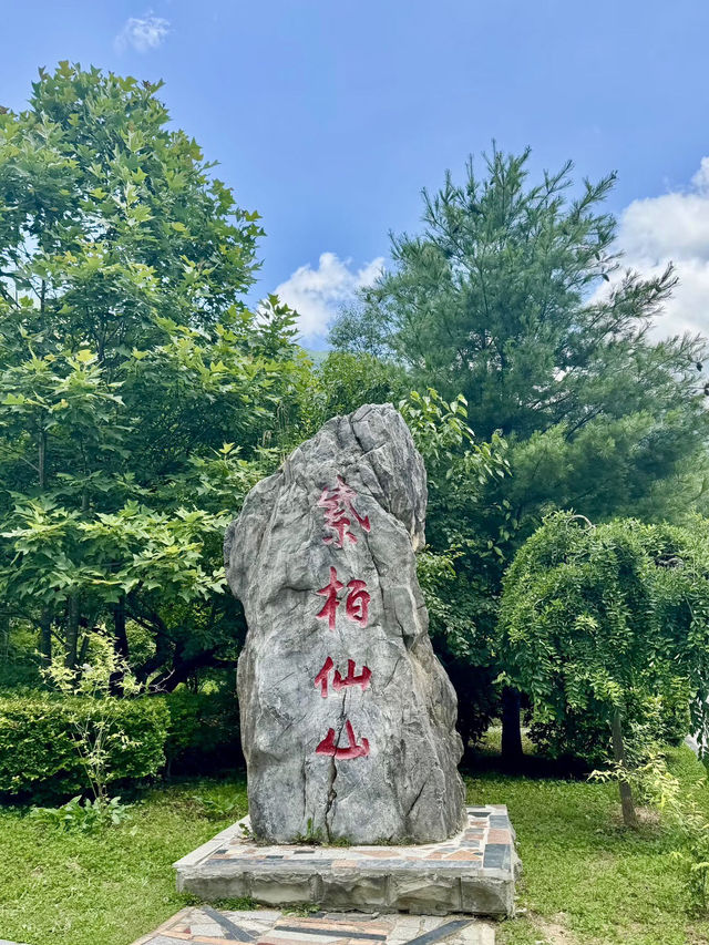 紫柏山|雲嶺深處的綠色祕境 紫柏山|雲嶺深處的綠色祕境