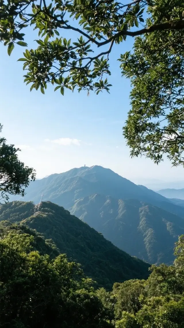 5-Day, 4-Night In-Depth Tour of Shenzhen