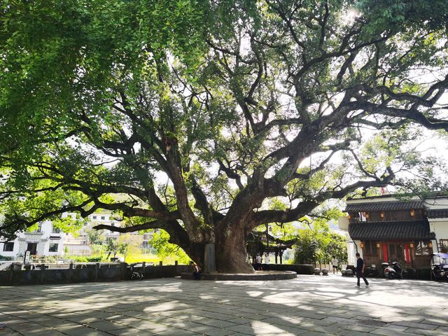 那山那水那古村 那山那水那古村