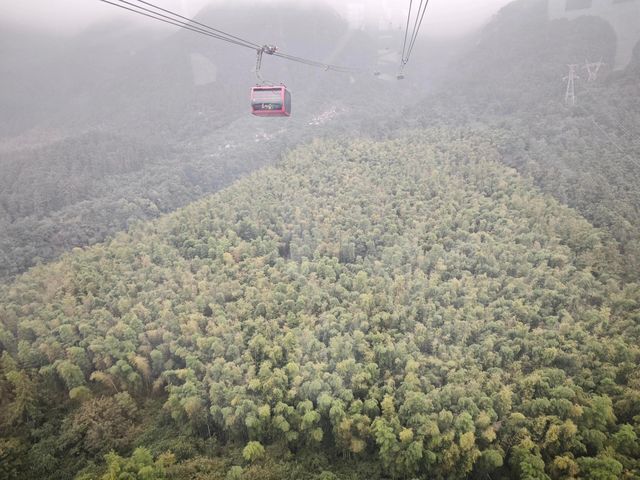 廬山，這座被譽為「人文聖山」的避暑勝地，正靜靜等待你的到來。讓人完全沉浸於它的詩意與清涼。 行程安