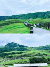 玩轉台北後花園！陽明山國家公園超全攻略