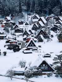 走進日本童話世界，邂逅冬日雪中精靈