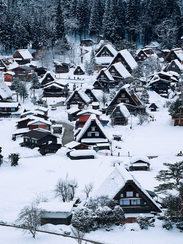走進日本童話世界，邂逅冬日雪中精靈