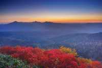 來北海道賞日本最早紅葉
