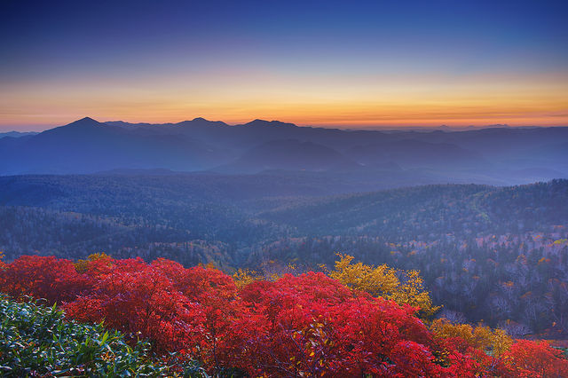 來北海道賞日本最早紅葉