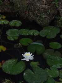平陽湖遊玩大揭秘！風景竟藏在這