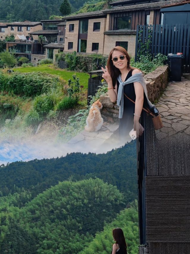 松陽｜被國家地理安利的江南秘境！3天2夜避世攻略來囉
