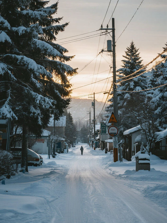 冬日北海道｜在雪與溫泉的童話裡，邂逅北國的溫柔詩篇