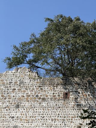 【주첸 고촌 1일 투어】200년 된 고시장을 거닐다! 고탑 촬영하기