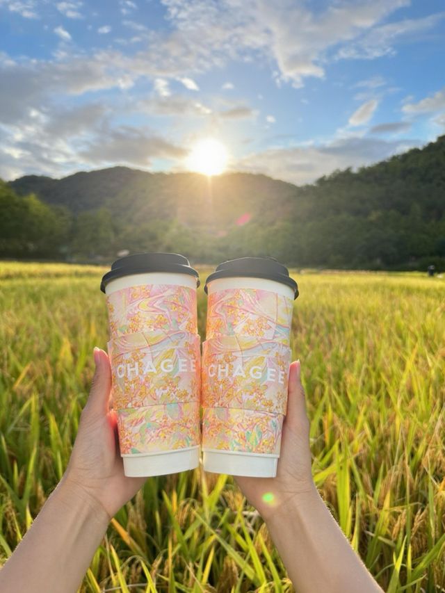 天台山茶香秋色遊