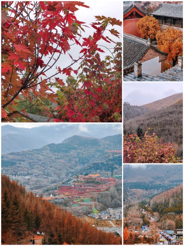 五臺山紅葉觀賞