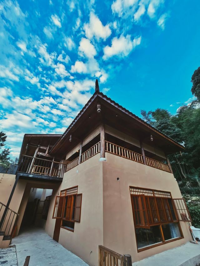 雲海茶山裡的民宿 雲海茶山裡的民宿