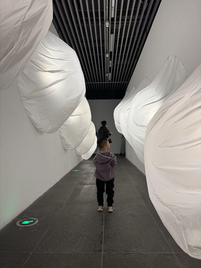 長沙遛娃天花板湖南美術館免費展覽太絕了！