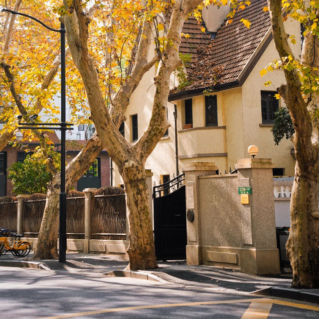 🍂상하이의 가을, 이 도시를 사랑하는 이유