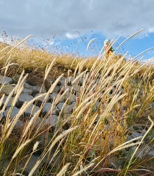 包頭大仙山尋佛記｜住進草原邊的神仙酒店