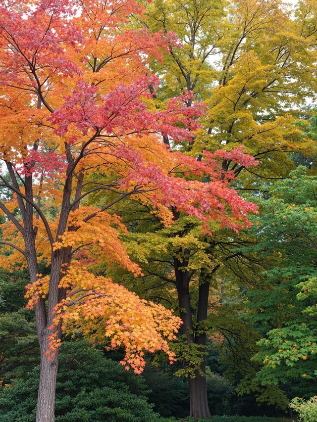 秋天的調色盤被打翻在雲平山絕美秘境等你來打卡! 秋天的調色盤被打翻在雲平山絕美秘境等你來打卡!