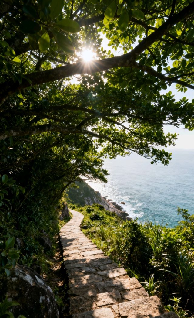 深圳私藏秘境!鹿嘴山莊懸崖石洞,山海野趣小眾避世地 深圳私藏秘境!鹿嘴山莊懸崖石洞,山海野趣小眾避世地