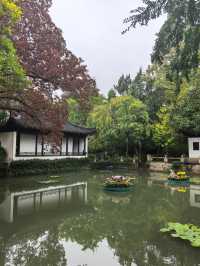 曲水園的菊花展已經幫你們看過了