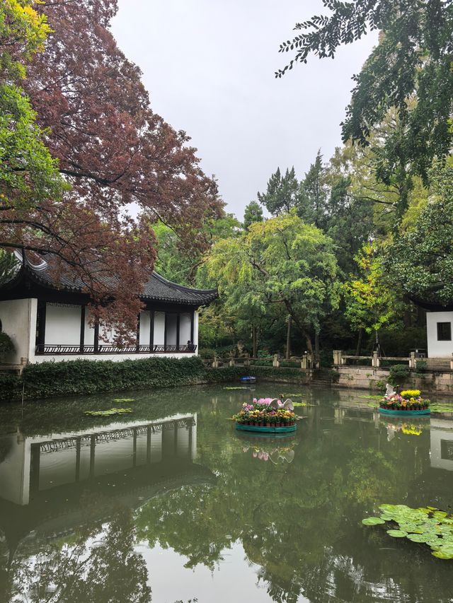 曲水園的菊花展已經幫你們看過了 曲水園的菊花展已經幫你們看過了