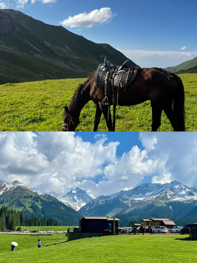 新疆庫爾德寧旅遊攻略｜天山腹地的秋色天花板