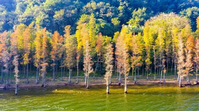 湛江這家酒店太溫馨了 湛江這家酒店太溫馨了