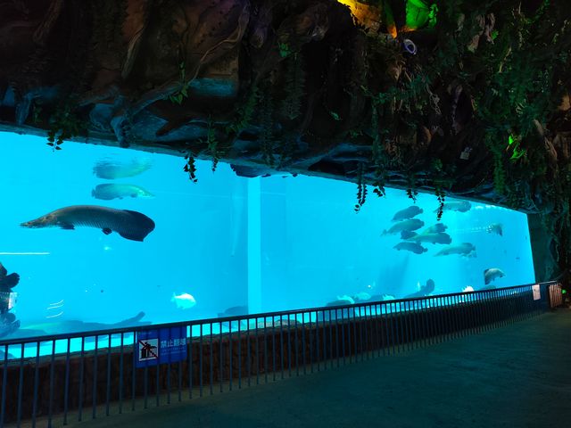 永泰歐樂堡福州版海洋王國 永泰歐樂堡福州版海洋王國