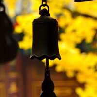 🍁 가을이 가장 아름다운 사찰, 대비사에서 찾은 고요함