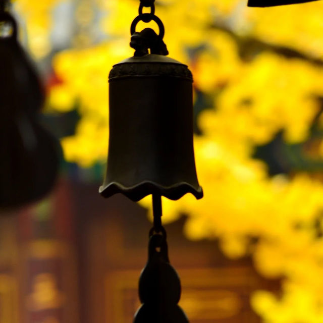 🍁 가을이 가장 아름다운 사찰, 대비사에서 찾은 고요함 🍁 가을이 가장 아름다운 사찰, 대비사에서 찾은 고요함