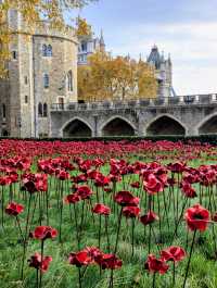 A Five-Star Day at the Tower of London
