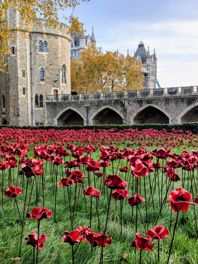 A Five-Star Day at the Tower of London