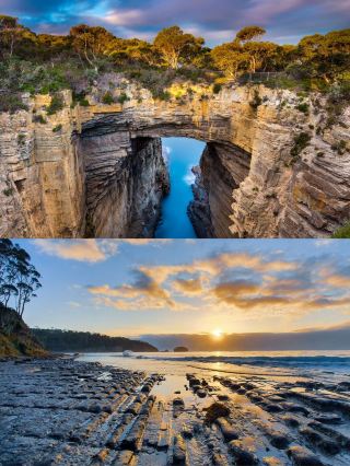 타스마니아 단체 여행이 이렇게 저렴할 줄이야