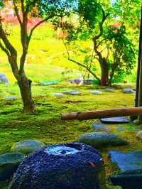 奈良依水園攻略關西最仙庭院被我發現啦!