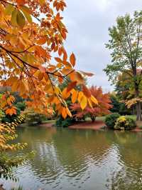 西安嘅秋天,明明係夢回「長安」|三日遊玩攻略