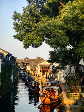 Tonight, step into the dream of Zhouzhuang! "Only This Zhouzhuang" turns Jiangnan into a flowing poem