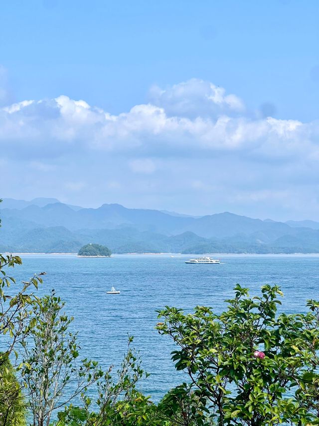 千島湖植物園 2歲寶寶也能走的徒步路線
