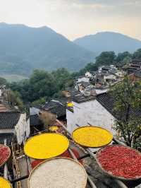 景德鎮1日包車遊打卡必去寶藏地