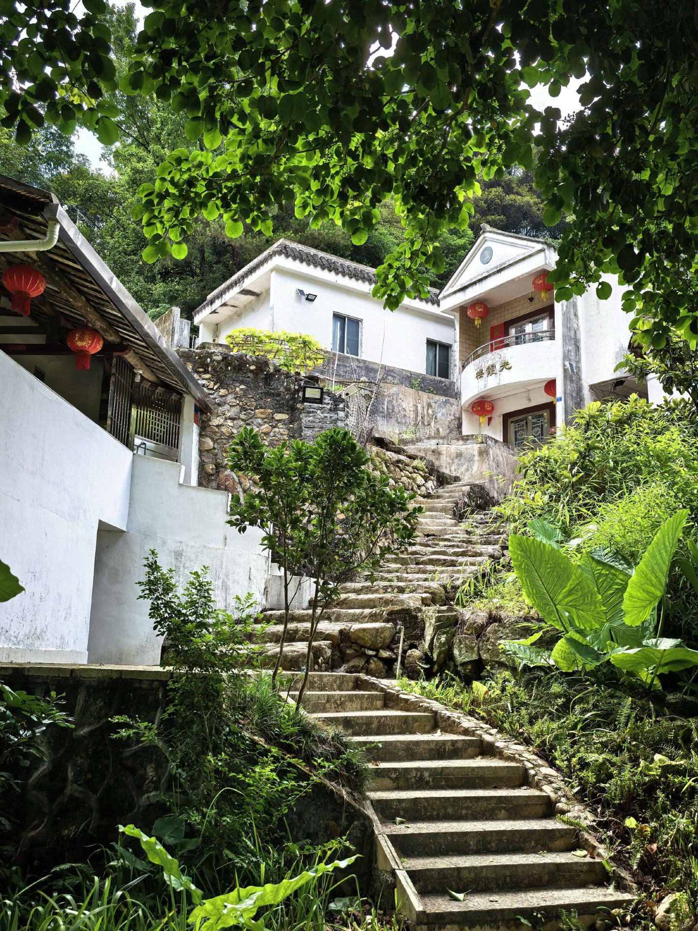 小眾秘境石橋溪流美如畫