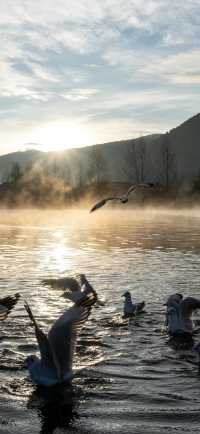 | 把山海星辰裝進房間的日與夜