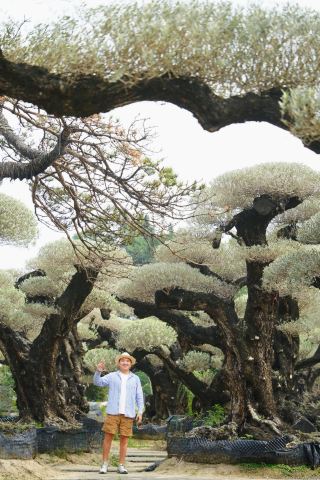Boldly predicting this magical forest will become the new top trend in Guangzhou-Foshan