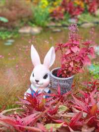 鹽城新秘境｜荷蘭花海：穿越歐式童話的浪漫風暴