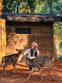 秋日速報！！收到一本宜興的童話書