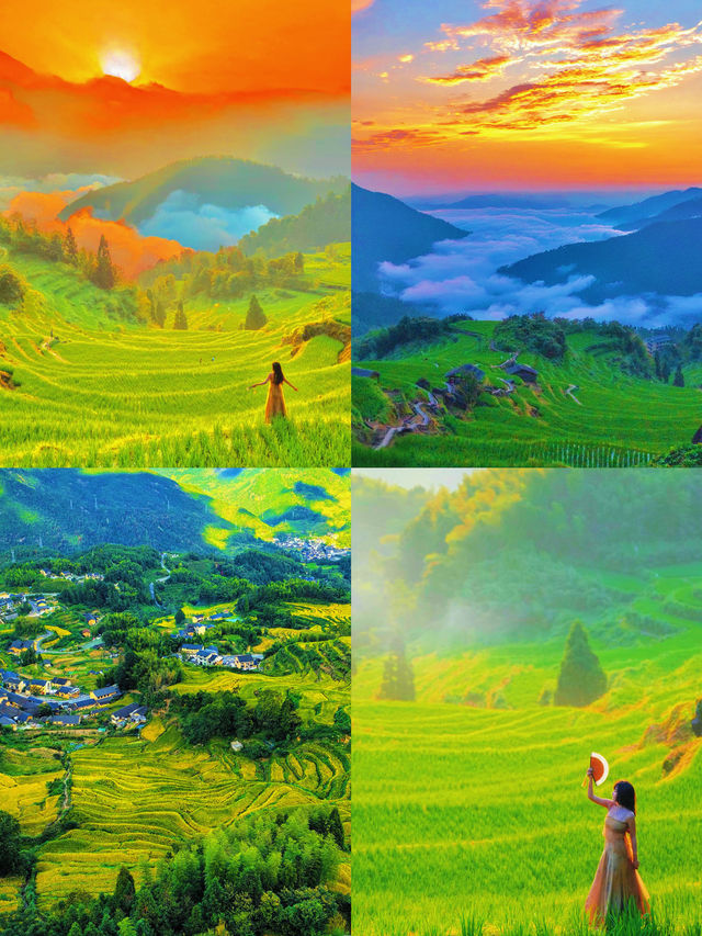 被麗水美哭！生態小城的慢生活太治癒了