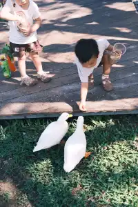 萬寧半日遊 | 打卡超適合小寶寶的牧場