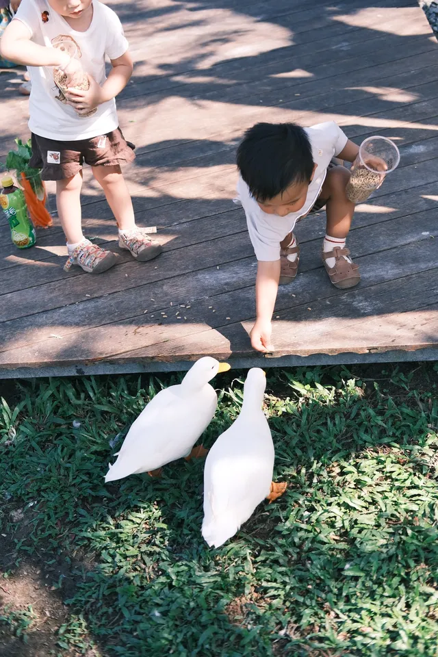 萬寧半日遊 | 打卡超適合小寶寶的牧場
