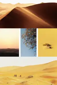 五湖穿越人均300搞定