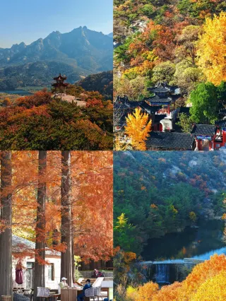 Countdown to mountain closure: Yantai hides the autumn colors after the fall