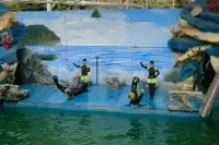 30歲小登一人5h 免門票遊上海野生動物園