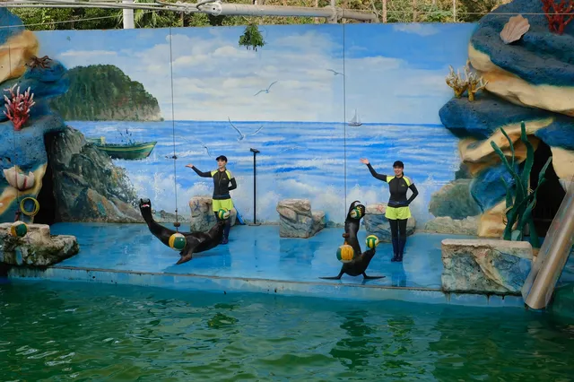 30歲小登一人5h 免門票遊上海野生動物園 30歲小登一人5h 免門票遊上海野生動物園