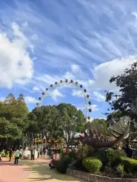 謝謝上野送的生日禮物~今天的快樂是免費哒